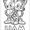 Tails Sonic Coloring Pages – A playful black and white coloring page featuring Sonic and Tails standing proudly side by side, featuring a Canva editable custom name section for easy personalization.